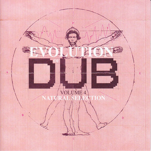 Evolution Of Dub Vol 4 — Various Artists