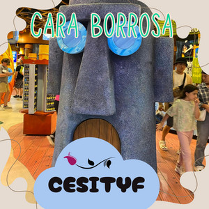 CARA BORROSA by CESITYF