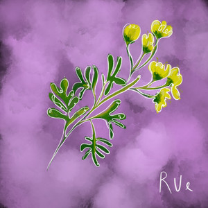 Rue by Stop The Suns From Setting