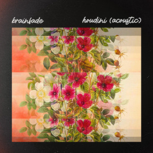 Houdini - Acoustic by Brainfade, Reins