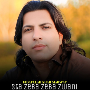 Fidaullah Shah Marwat - Sa Pa Dahk Zahr Trna Larma