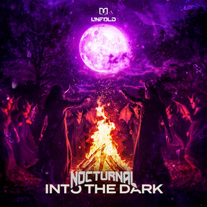 INTO THE DARK by NOCTURNAL