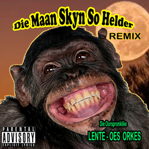 Lente-oes-orkes - Die Maan Skyn So Helder (Remix)