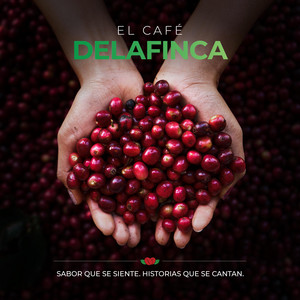 El café de Delafinca by Juan Solórzano - Nicaragüense