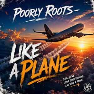 Like a plane by Poorly Roots