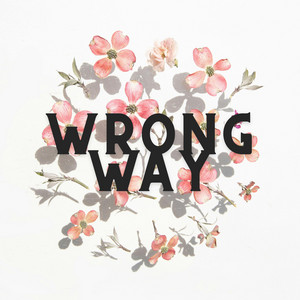 Wrong Way by Cnulty