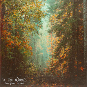 In the Woods by Evergreen Dream