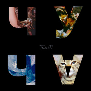 TamiR — Чуча