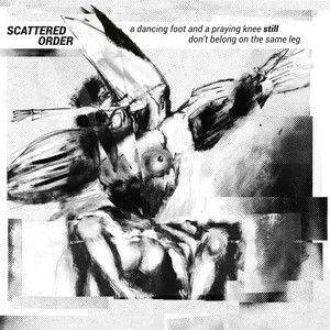 Scattered Order poster