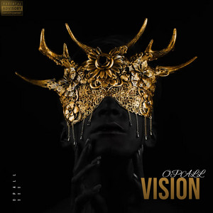 Vision