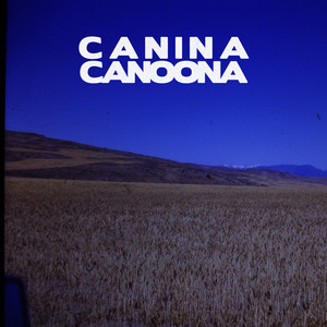 Canina Canoona by Louie Cameron