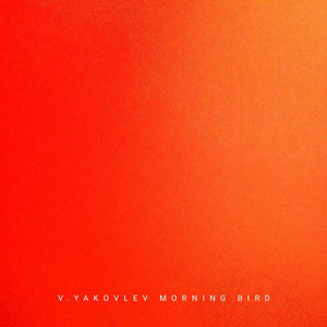 Morning Bird