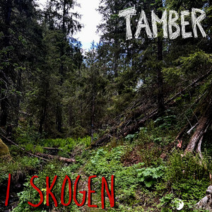 Svartavatnet by Tamber