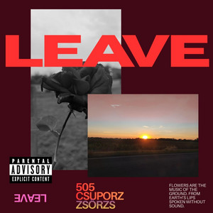 LEAVE by ZsörzS, 505 Csuporz