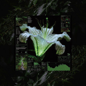FOREIGN by K.V.N, Saush