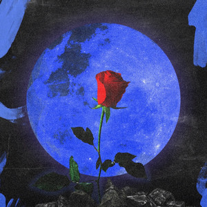 Blue Moon 3 cover