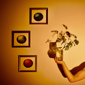 Portada de waste time