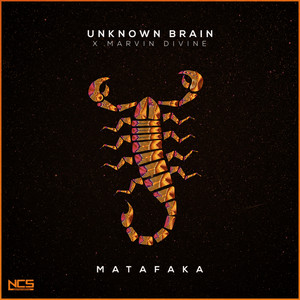 MATAFAKA by Unknown Brain, Marvin Divine