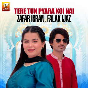 Tere Tun Pyara Koi Nai