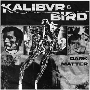 DARK MATTER by Kalibvr, Bird