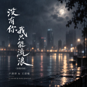 没有你我只能流浪 - 深唱对唱 by 卢润泽, 王清楠