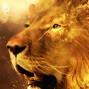 Braam Official - I Am Your God