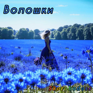 Skorohodoss — Волошки