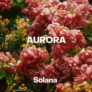 Aurora by Solana