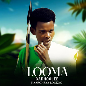 HAAROMSAA LOOKOO - Looma Gadhoolee