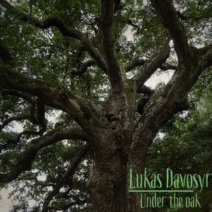 Under the oak by Lukas Davosyr