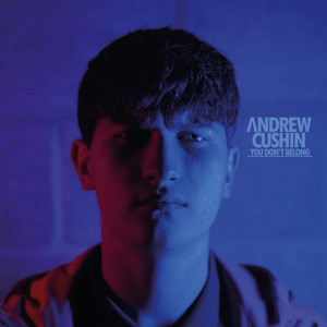 You Don't Belong by Andrew Cushin