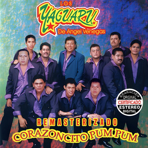 Como Decirte Adiós by Los Yaguaru de Angel Venegas Album Cover