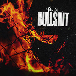 Bullshit by Tibadj