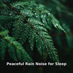 Peaceful Rain Noise for Sleep