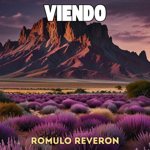 Viendo by Romulo Reveron