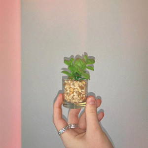 Plant-Sitting This Weekend by Grey Dugan