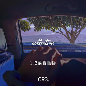 CR3. - 收藏 (1.2倍释怀版)