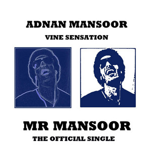Adnan Mansoor - Mr Mansoor
