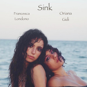 Portada de Sink