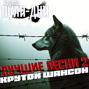 По барам by Группа Пули-Дни