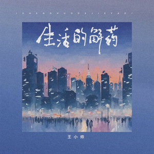 生活的解药 by 王小帅
