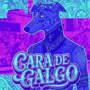 Cara De Galgo by chamakita mas na