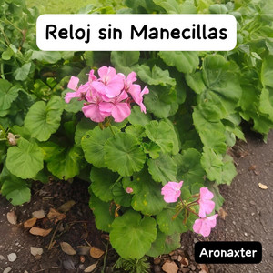 Reloj sin Manecillas by Aronaxter