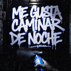 Me Gusta Caminar De Noche by Palida