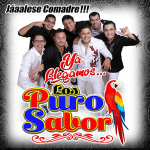 Los Puro Sabor - Pégale Papá