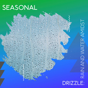 zZz Seasonal Drizzle: Rain and Water Amidst the Woods zZz album