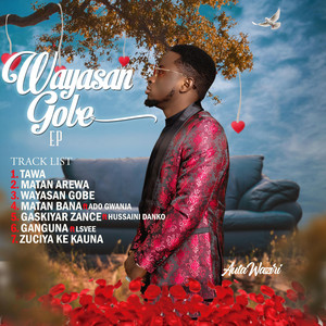 Matan Arewa by Auta Waziri