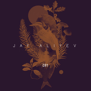 Cry by Jay Aliyev