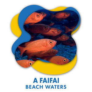 A Faifai Beach Waters album