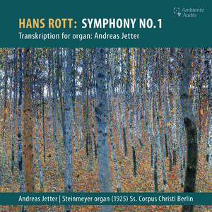 Rott: Symphony No. 1 in E Major - Album by Hans Rott | Spotify